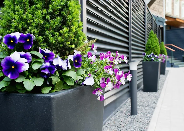 Ξενοδοχείο 15th Avenue 3*