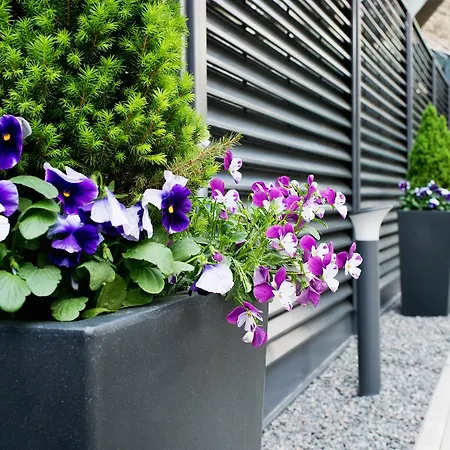 Отель 15th Avenue 3*